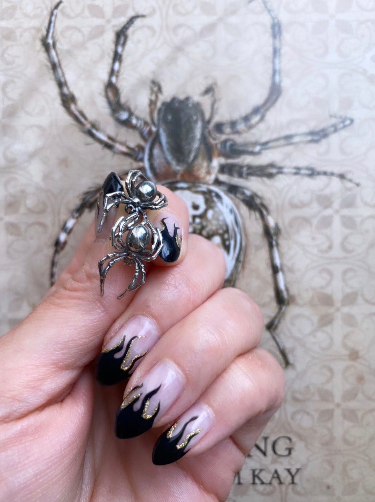 Spider Studs